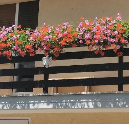 Hotel Fiocco Di Neve Tarvisio Exterior foto